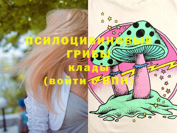 2c-b Новодвинск