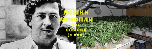крисы Нея