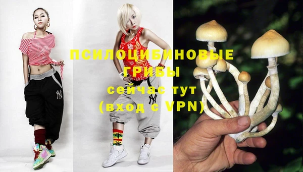 прущая мука Новозыбков